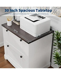 gaomon Farmhouse File Cabinets with 2 Drawers,30" File Cabinets with Hanging File Folders for A4/Letter/Legal Size Documents