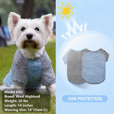 Aronkl 2-Pack Lightweight Athletic Dog T-Shirt with Reflective Label for Outdoor Use