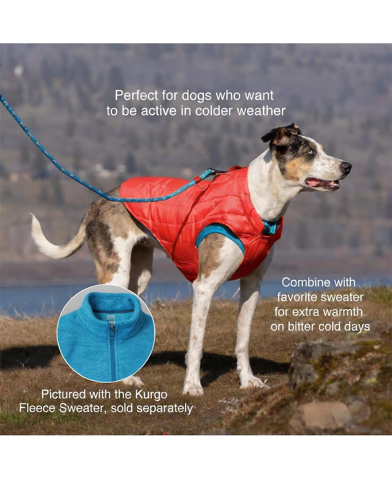 Aronkl Loft Dog Jacket: Insulated, Reversible, Water-Resistant, Reflective, Adventure Ready
