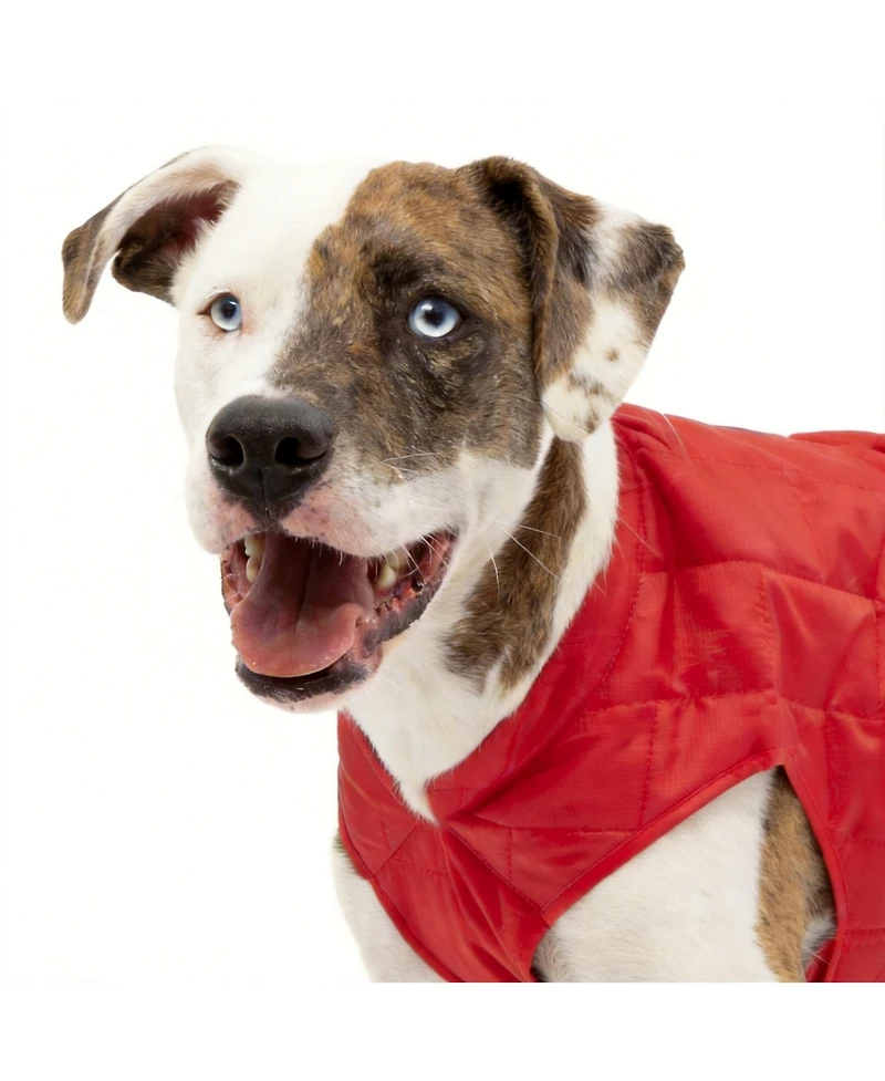Aronkl Loft Dog Jacket: Insulated, Reversible, Water-Resistant, Reflective