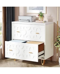 Rainsken 2-Drawer Lateral File Cabinet for Legal/Letter/A4 Size