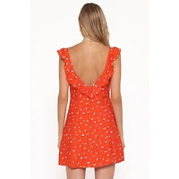 Petal and Pup Women's Lacey Mini Dress