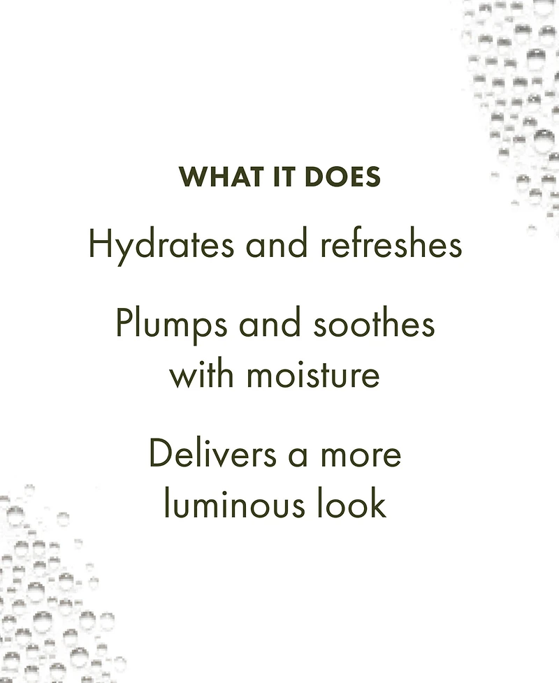 Origins Mega-Mushroom Soothing Hydra-Mist With Reishi & Snow Mushroom