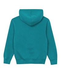 Outerstuff Toddler Aqua Miami Dolphins Back to Basics Hoodie
