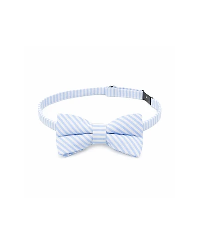 Bits & Bows Boys Little/Big Seersucker Bow Tie