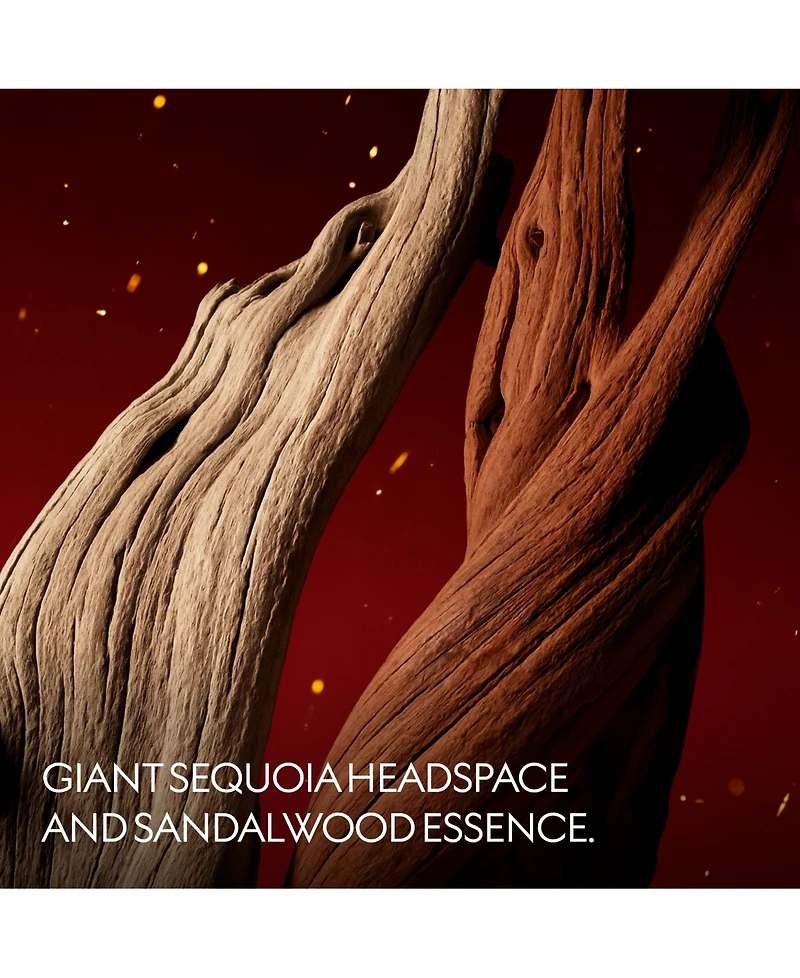 Gucci The Alchemist's Garden Lignum Idealis Eau De Parfum Spray, 1.6 oz.