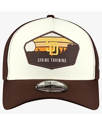 New Era Men's Stone San Diego Padres 2026 Spring Training Fan Pack Gradient 39THIRTY Flex Hat