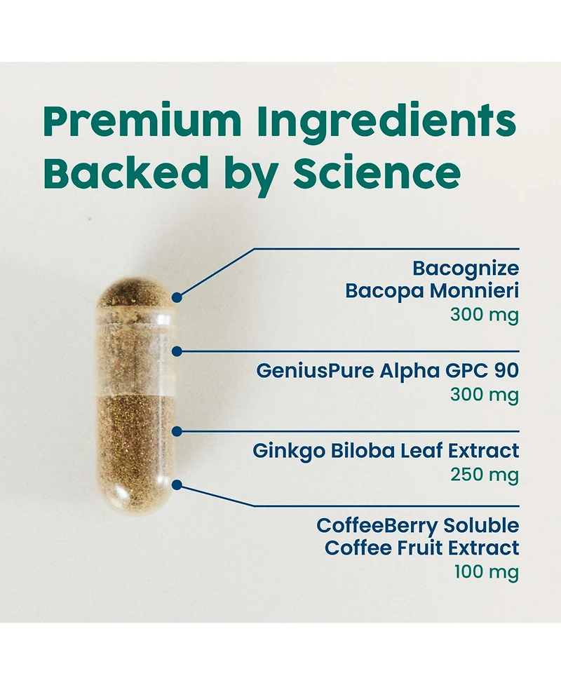 NativePath Brain Health - Brain Health Support Supplement with Bacopa, Alpha Gpc, Ginkgo Biloba and Coffee Fruit Extract - 60 Capsules