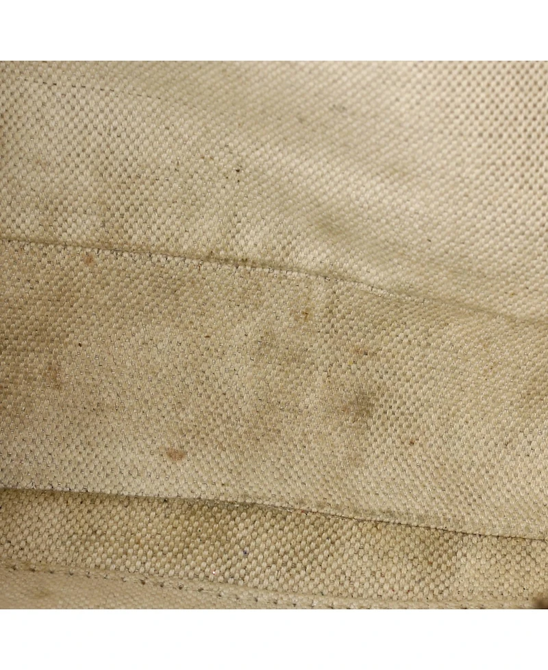 Pre-Owned Gucci Medium Ophidia Belt Bag Gg Coated Canvas