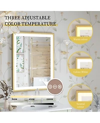 Luvodi Led Bathroom Mirror with Gold Frame 3 Color Temperature Anti-Fog
