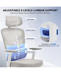 gaomon Ergonomic Office Chair with Adjustable Lumbar Support, High-Back Desk Chair with Headrest