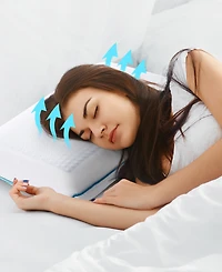 Cheer Collection Gel Memory Foam Pillow, Standard