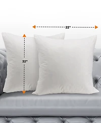 Cheer Collection 95% Feather/5% Down 2-Pack Pillow Inserts