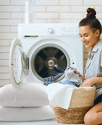 Cheer Collection Natural Kapok 2-Pack Pillow Inserts