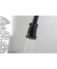 Busdays Kitchen Faucet with Pull-Down Sprayer, Single-Handle Stainless Steel Pull Out Kitchen Faucet, 2-in-1 Spray Head