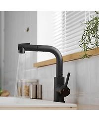 Busdays Sink Faucet, Black Kitchen Faucets with Pull out Sprayer, Bathroom Sink Faucets Mini Bar Prep Faucet