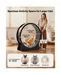 Zeus and Ruta 48 Inch Cat Exercise Wheel for Indoor Cats up to 28 lbs Carpeted Treadmill with Locking Mechanism