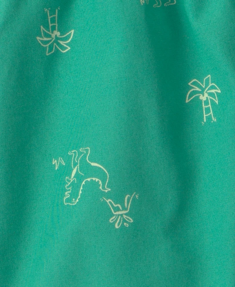 Carter's Boys' 2T-5T Dinosaur T-Shirt and Shorts, 2-Piece Set