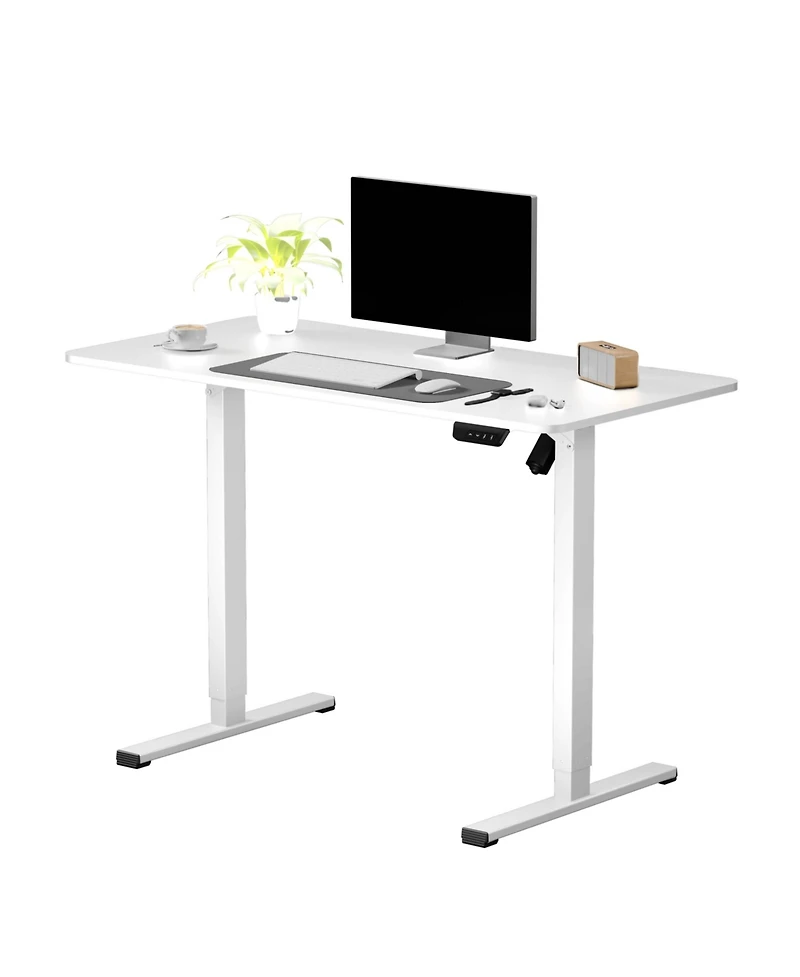 FlexiSpot EC2 48"x24" Electric Height-Adjustable Standing Desk