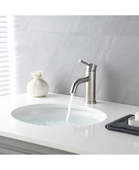 Busdays Ada Compliant Single Hole Bathroom Faucet
