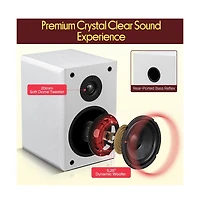 Pyle 5.25 Home Theater Speakers
