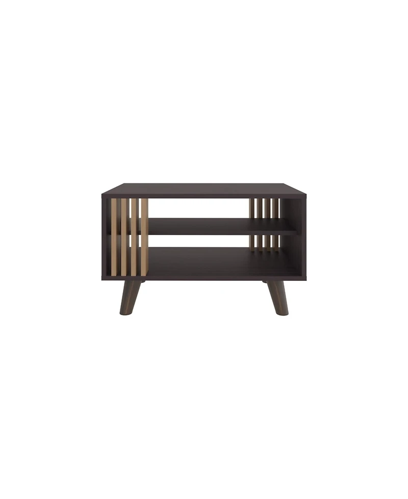 Depot E-shop Roann Coffee Table, 2 Shelves