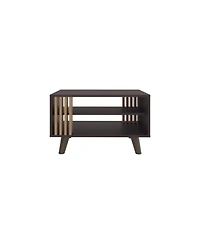 Depot E-shop Roann Coffee Table, 2 Shelves