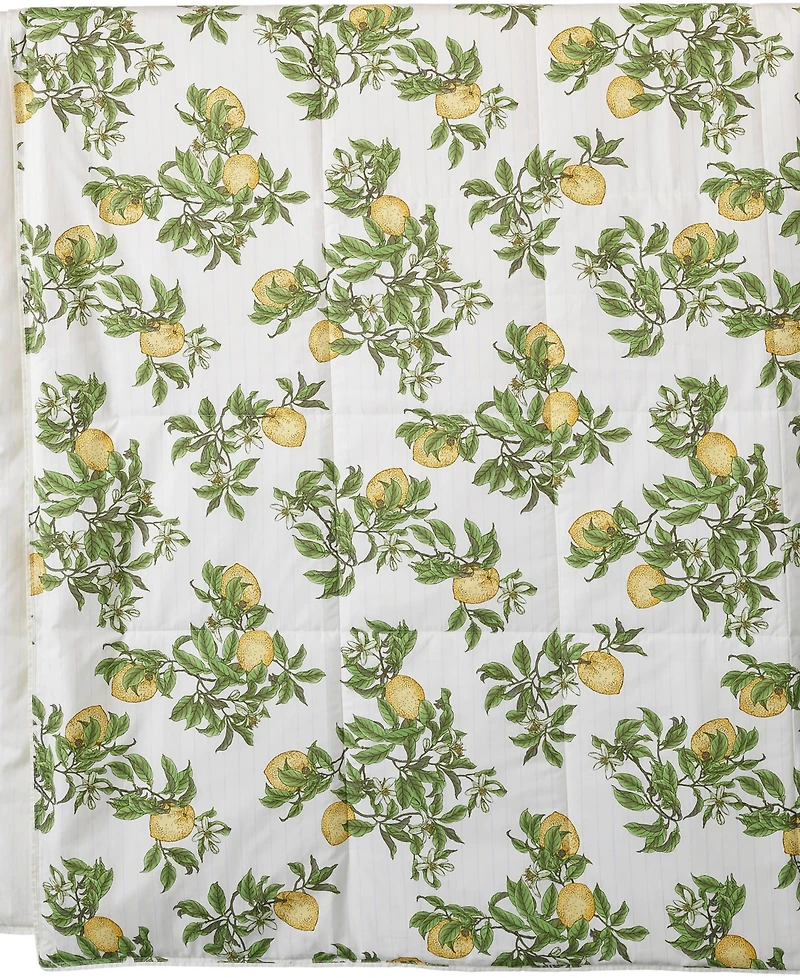 Lands' End 300 Thread Count Cotton Smooth Percale Printed Comforter