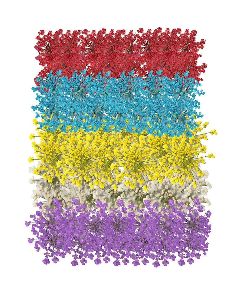 Gnuadz Dried Pressed Flowers Lace Set, 60 Pc. Craft Decor