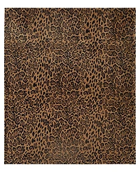 Baby Phat Oversized Plush Throw, 60" x 70"