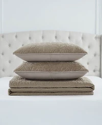 Bcbg Astor Velvet 3-Pc. Quilt Set