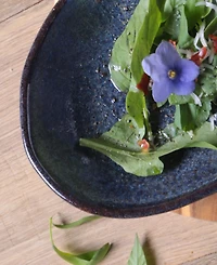 Porto Brasil Stoneware Large Deep Oval Platters, Set of 4