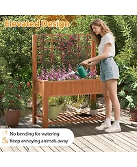 Gouun Fir Wood Raised Garden Bed with Trellis and Storage Shelf, 45 x 23 x 59 in Elevated Planter