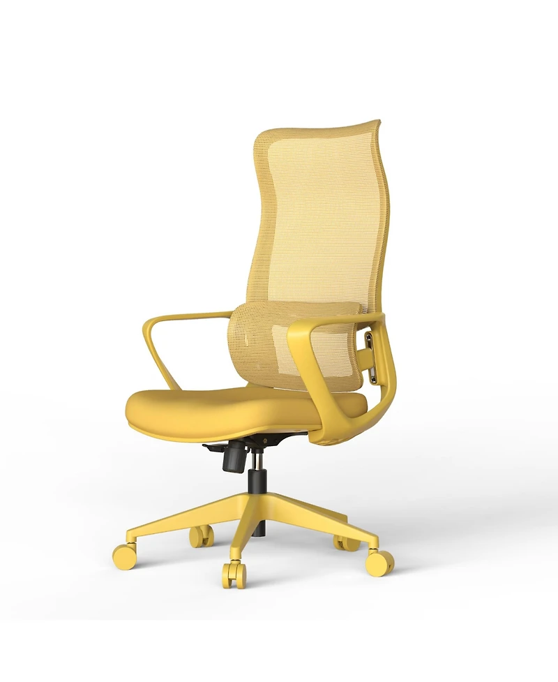 Rainsken Ergonomic Office Chair, Mesh Breathable High Back Computer Chair with Adjustable Lumbar Support, Foam Seat Cushion for Home Office