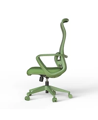 Rainsken Ergonomic Computer Chair