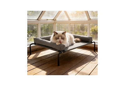 Zeus and Ruta Elevated Cat Bed for Large Cats Portable Raised Cat Cot with Xl Gray Pillow Indoor Outdoor Use