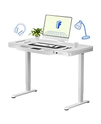 FlexiSpot EW2 48"x24" Electric Height-Adjustable Desk with Spacious Drawer - Quick Install