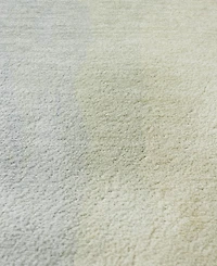 Addison Mayfield AMF1844 9' x 12' Area Rug