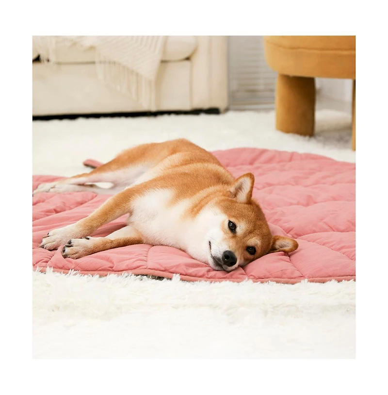 FunnyFuzzy Leaf Shape Pet Blanket