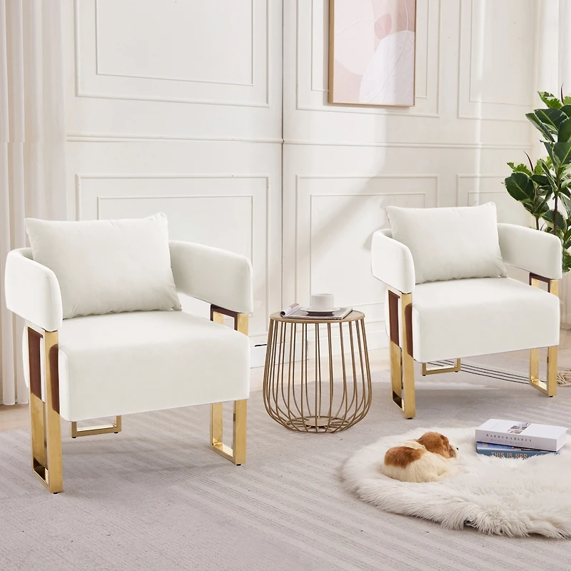 Streamdale Furniture Modern decorative chair with metal legs, velvet fleece upholstered
