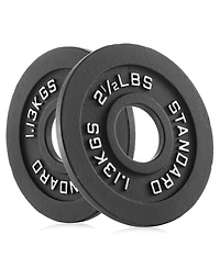 Philosophy Gym Set of 2 Standard Cast Iron Olympic 2-inch Weight Plates ( Lb each