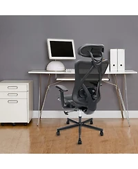 Flynama Mesh Office Chair with Mute Wheel,Adjustable Lumbar Headrest Chair