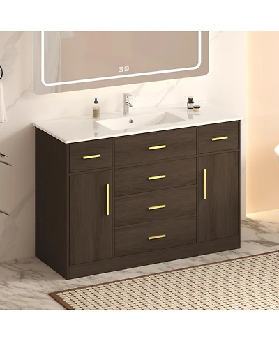 Busdays 48 Inch Bathroom Vanity Cabinet 2 Soft Close Doors 6 Drawers Spacious Storage Freestanding Design