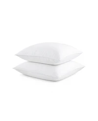 Charisma High-Lofting Swiss Dot Embossed 2-Pack Pillow Set, Standard/Queen