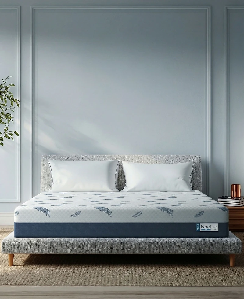 Noctua Tern 12" Hybrid Firm Tight Top Mattress