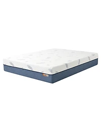 Noctua Wren 12" Zoned Hybrid Cushion Firm Tight Top Mattress