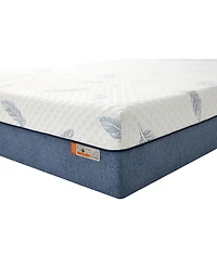 Noctua Wren 12" Zoned Hybrid Cushion Firm Tight Top Mattress