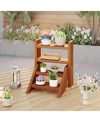 Gouun 4-Tier Solid Wood Plant Stand with Teak Oil Finish