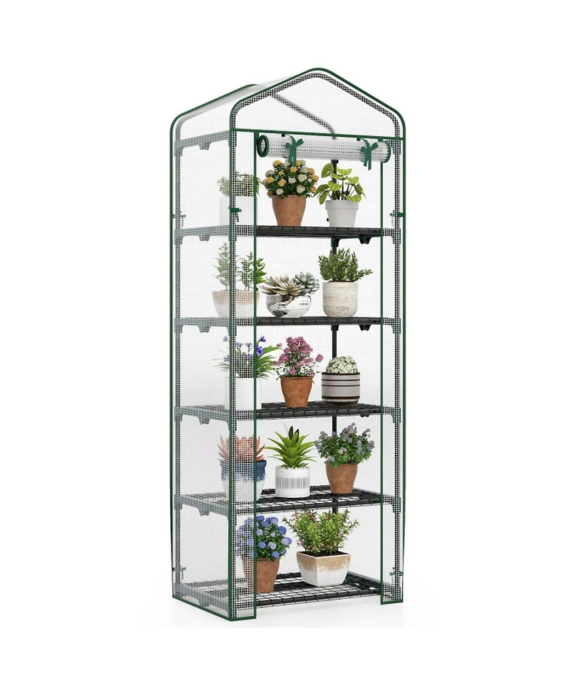 Gouun 5-Tier Portable Mini Greenhouse with Roll-Up Door
