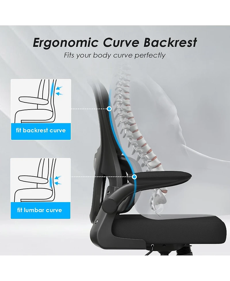 flynama Mesh Ergonomic Office Chair,Flip-Up Armrest Lumbar Chair